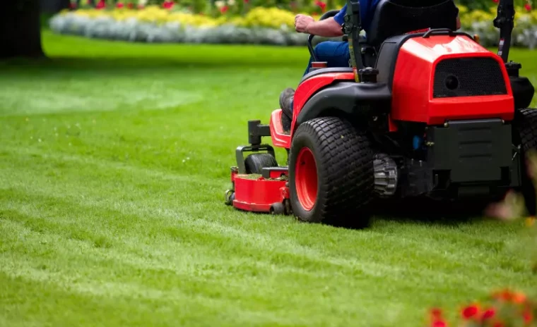 lawn care tips
