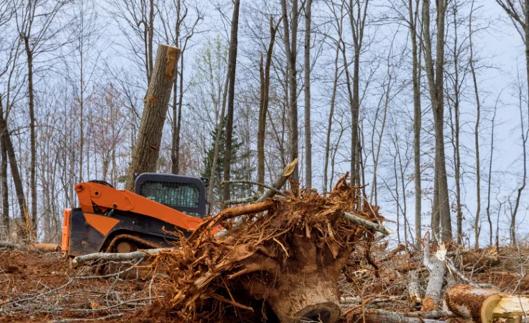 Clear Your Land Like a Pro Blog