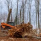 Clear Your Land Like a Pro Blog
